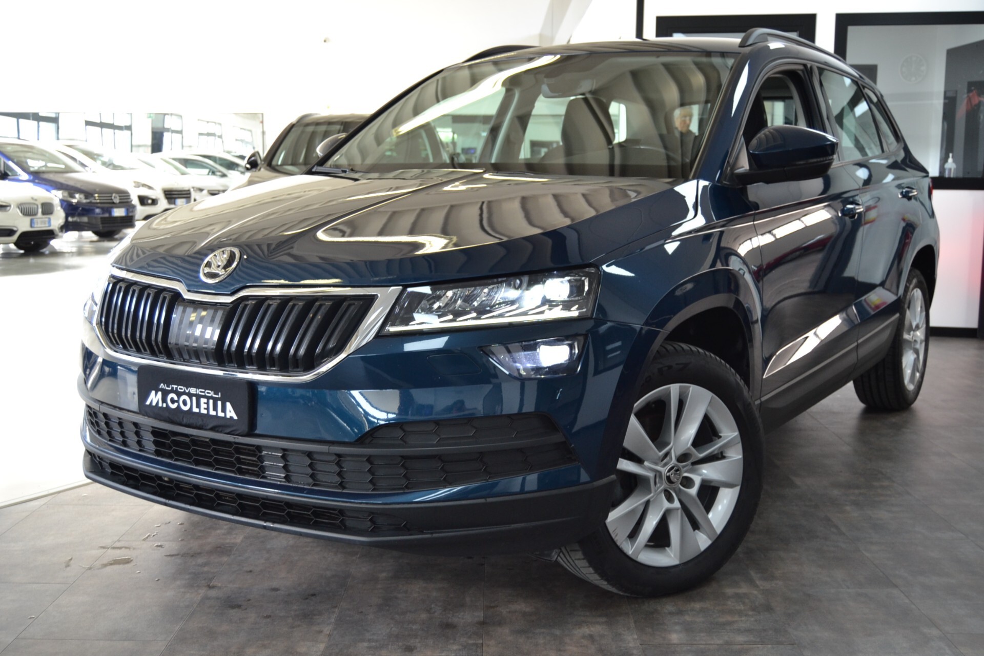 Skoda Karoq 1.6 TDI Executive Navi/Xenon/Cruise