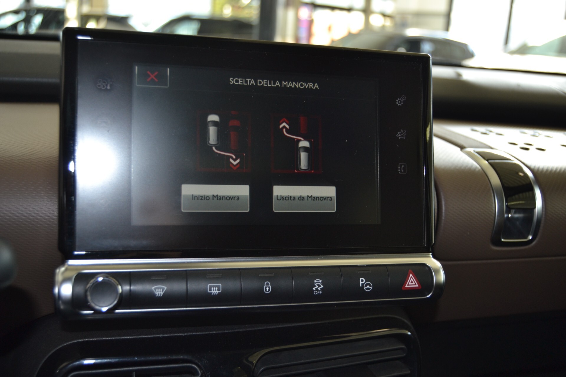 Citroen C4 Cactus BlueHDi 100 Shine Edition Navi/Tetto