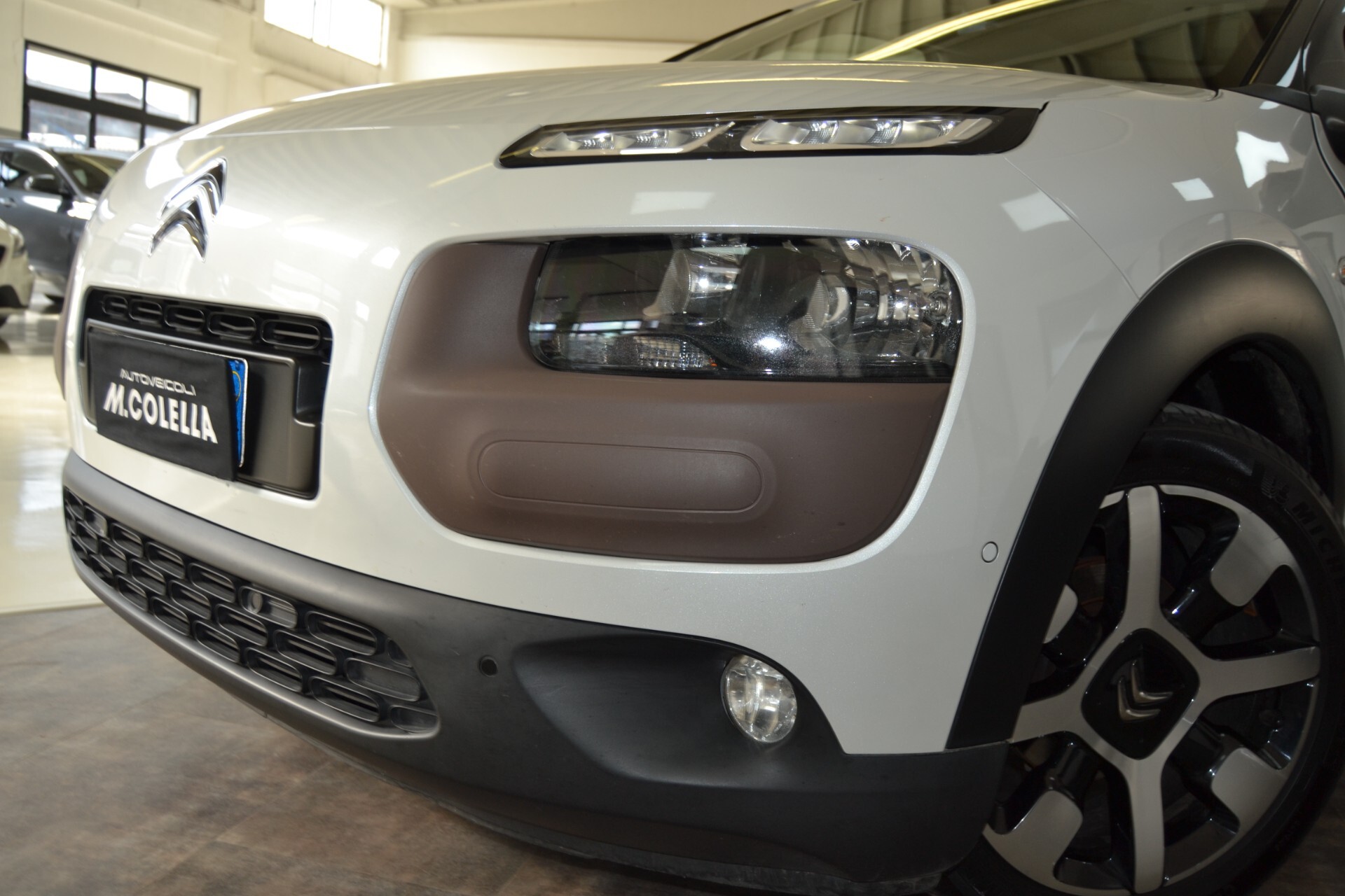 Citroen C4 Cactus BlueHDi 100 Shine Edition Navi/Tetto